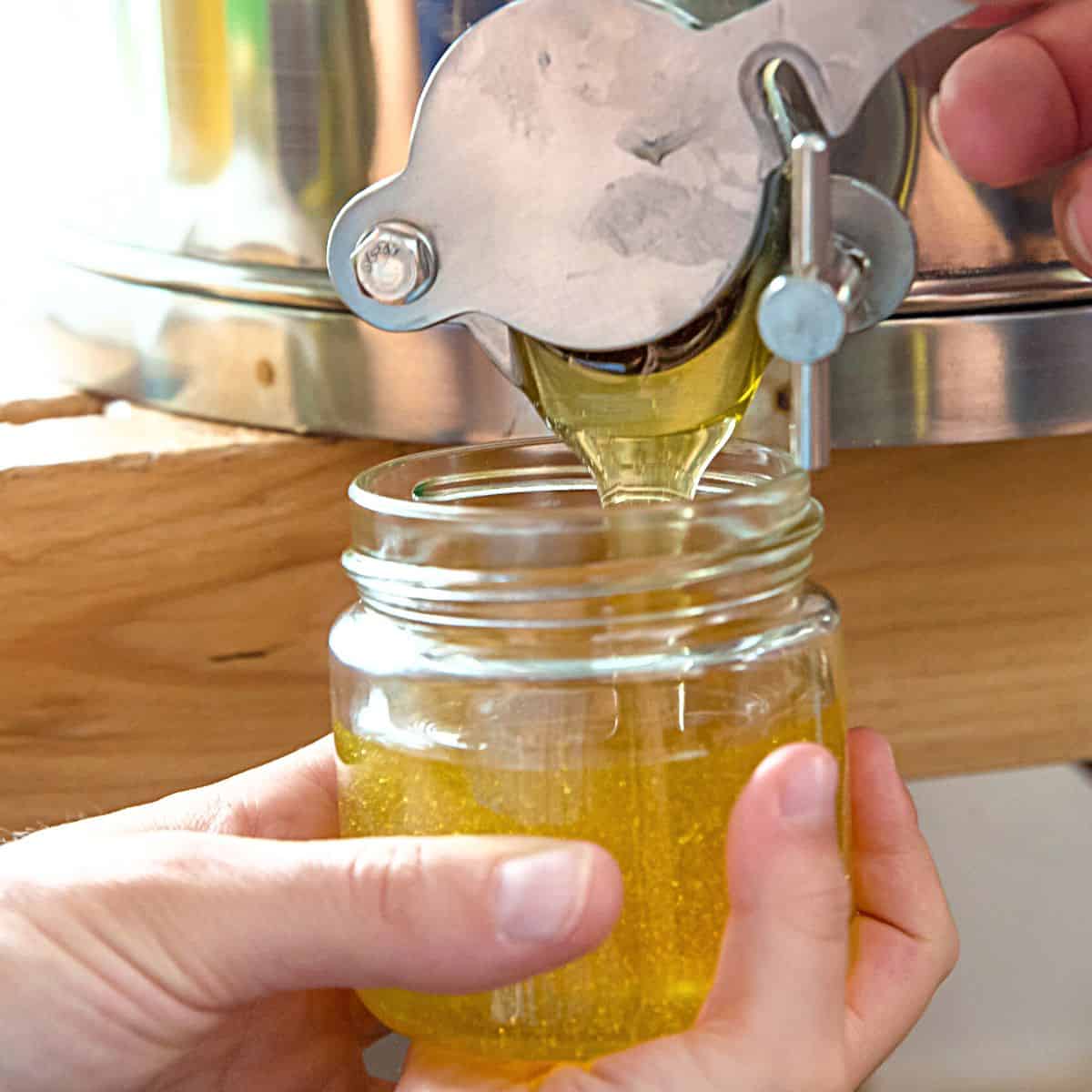 Hollow Academy Nature School: PRIVATE EVENT, In Person Class Hive & Home Apiary, Tifton, GA