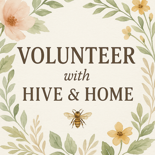 Volunteer