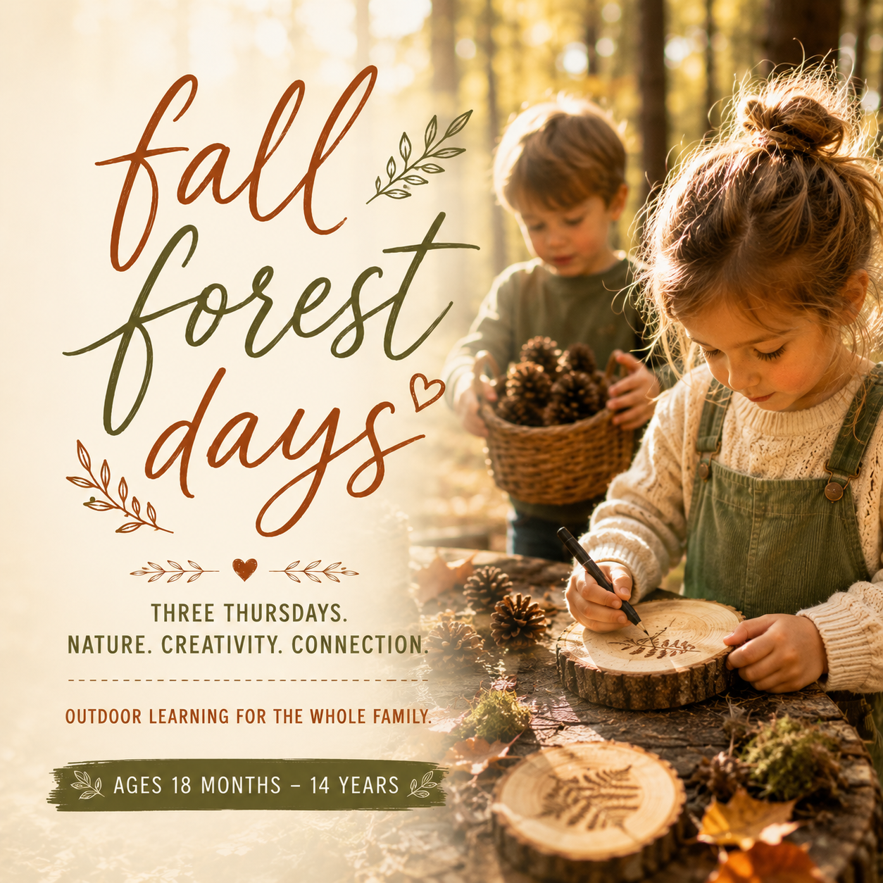 Fall Forest Days: A Hive & Home Experience to Gather, Create, and Savor