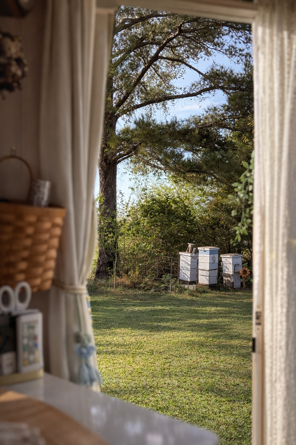 Honeybee Hideaway at Hive & Home 🐝 Cozy Vintage Camper Stay