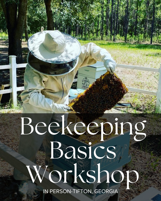 Beekeeping Basics Workshop-IN PERSON TIFTON, GEORGIA