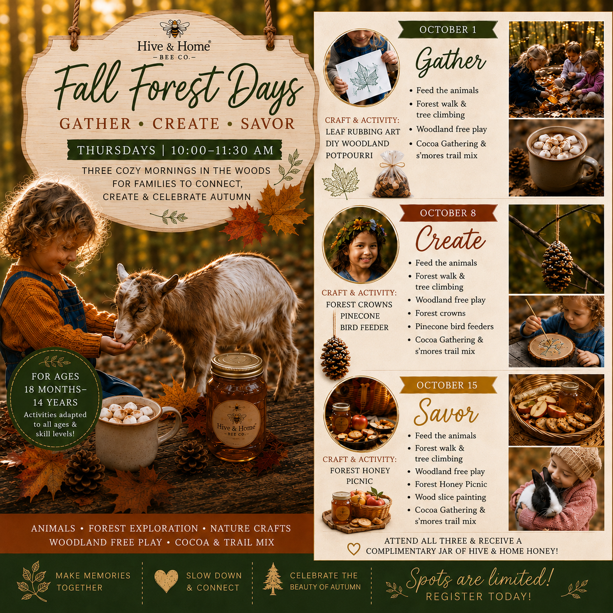 Fall Forest Days: A Hive & Home Experience to Gather, Create, and Savor
