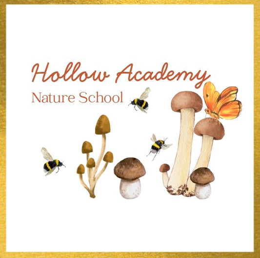Hollow Academy Nature School: PRIVATE EVENT, In Person Class Hive & Home Apiary, Tifton, GA